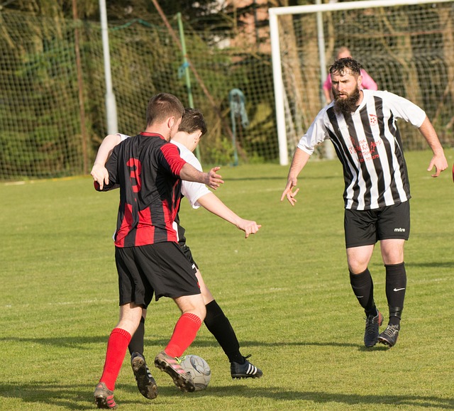 一个完美的 一个完美的