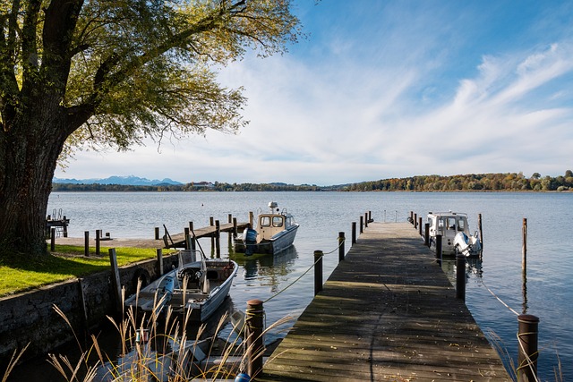 今年的選拔 今年的選拔