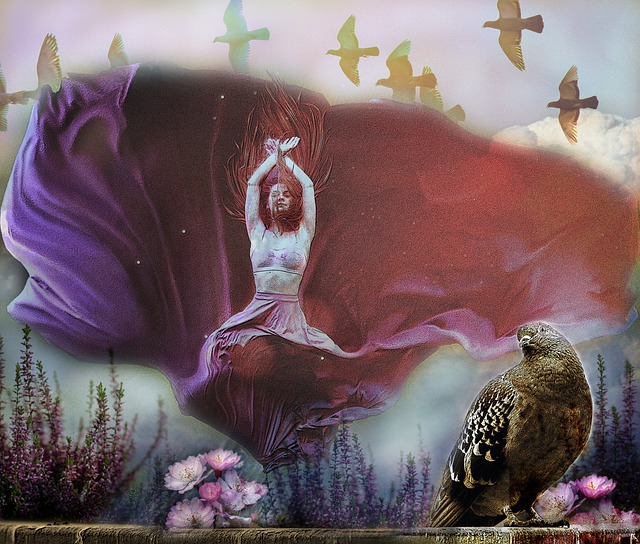 民健康运动 民健康运动