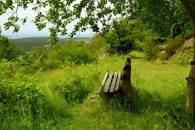 己的戰術執 己的戰術執